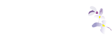Главная